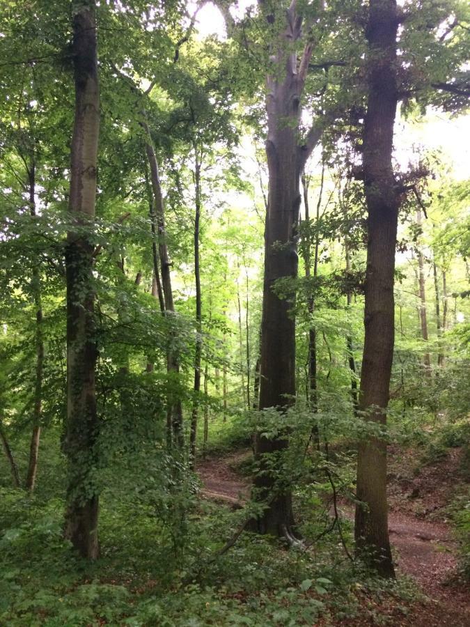 Eifel-Lounge Blockhaus Mit Kamin Garten Balkon Nahe Koeln Therme Bruehl Phantasialand Weilerswist المظهر الخارجي الصورة