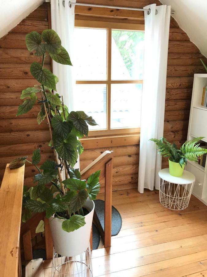 Eifel-Lounge Blockhaus Mit Kamin Garten Balkon Nahe Koeln Therme Bruehl Phantasialand Weilerswist المظهر الخارجي الصورة